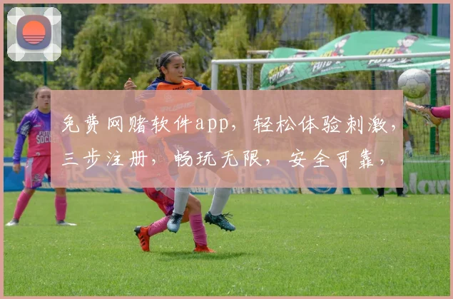 免费网赌软件app，轻松体验刺激，三步注册，畅玩无限，安全可靠，必看攻略