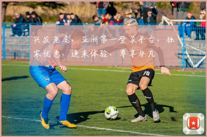 兴发老虎，亚洲第一登录平台，独家优惠，速来体验，尊享非凡