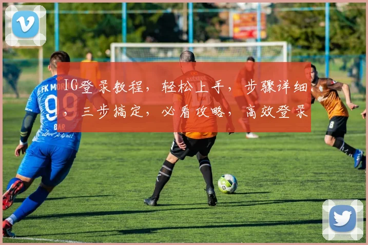 IG登录教程，轻松上手，步骤详细，三步搞定，必看攻略，高效登录