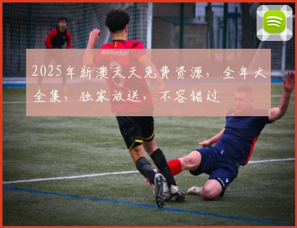 2025年新澳天天免费资源，全年大全集，独家放送，不容错过