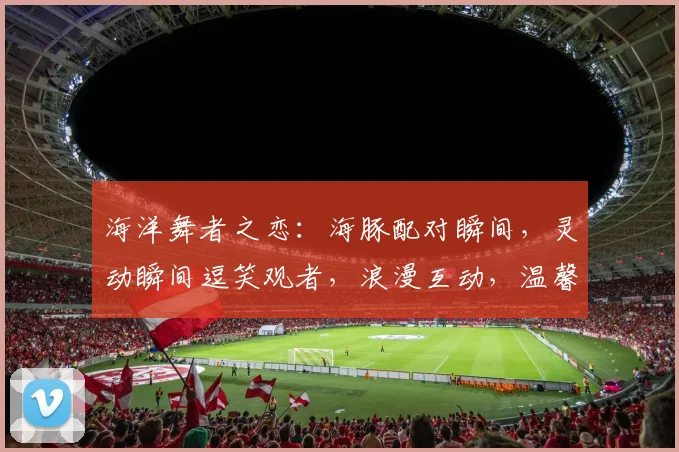 海洋舞者之恋：海豚配对瞬间，灵动瞬间逗笑观者，浪漫互动，温馨一幕三逗逗