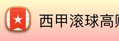 西甲滚球高赔率 Logo